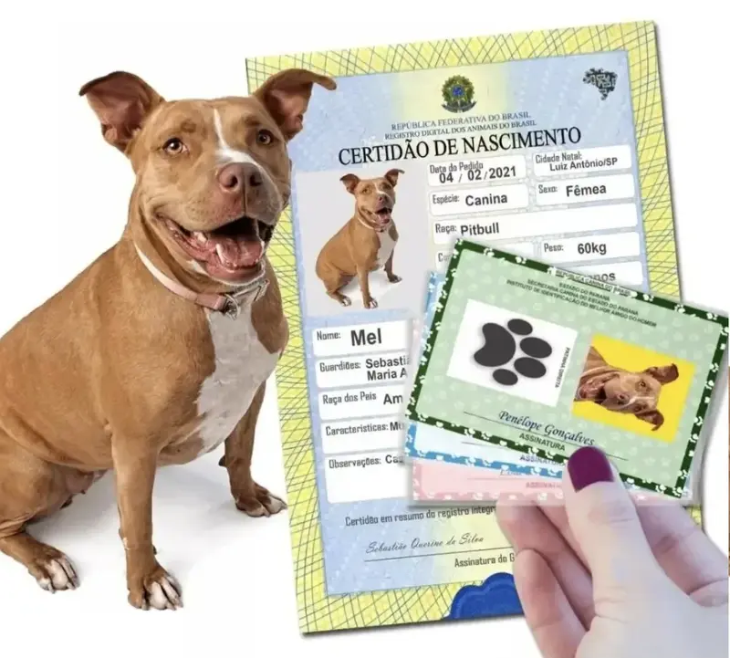 RG e Certidão Pet